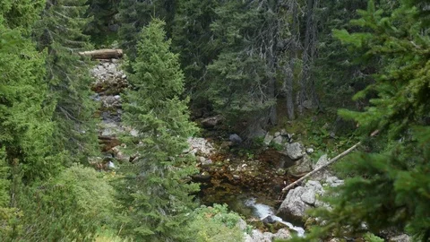 River Running Through The Mountain Valley Video stock 79749884