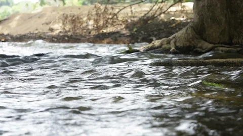 River running through rain forest Stock-Footage 95440031