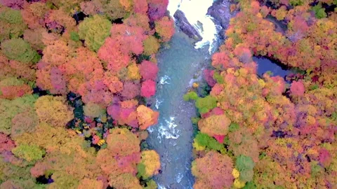 River running through rocky riverbed amid autumn foliage Stock Footage 138204104