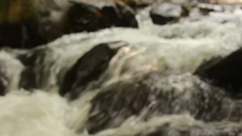 River running through stone rapids Stock Footage 195971475