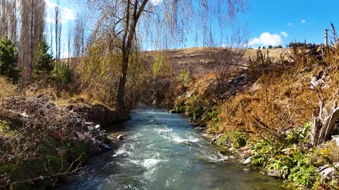 The river running through the town Stock Footage 293596903