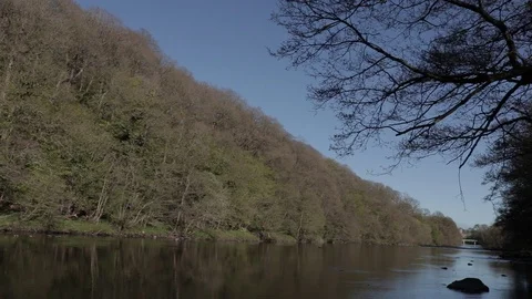 River running through a UK forest with bridge in background, handheld Video stock 91617613
