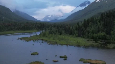 River Running Through Valley in Alaska Video stock 217831585