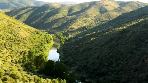 River running through very green grass 스톡 동영상 120012915