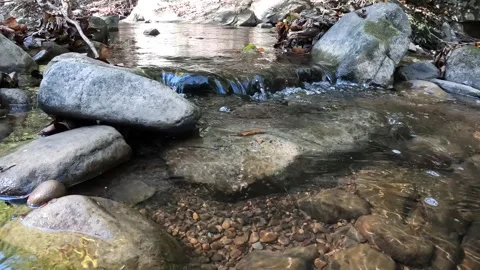 River Running Through West Virginia Stock Footage 163591382
