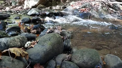 River Running Through West Virginia Stock Footage 163592432