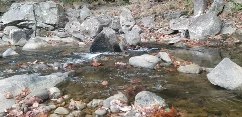 River Running Through West Virginia Stock Footage 163593169