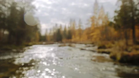 A River running through a wood Stock Footage 50440250