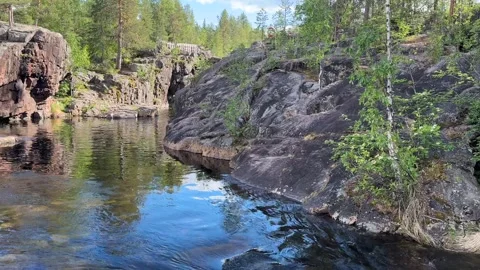 River runs over rocks in a forest Stock Footage 288011819