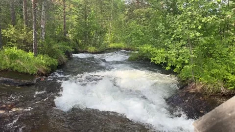 River runs over rocks in a forest Stock Footage 288011824