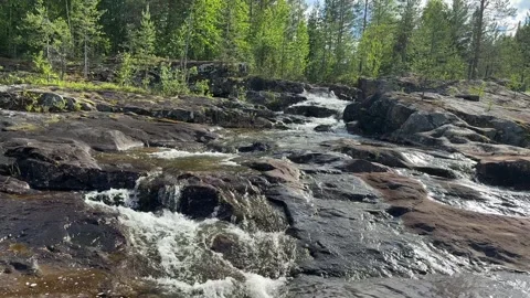 River runs over rocks in a forest Stock Footage 288011826