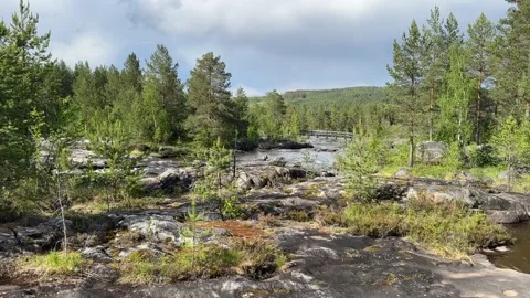 River runs over rocks in a forest Stock Footage 288011832