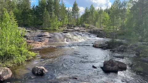 River runs over rocks in a forest Stock Footage 288011837