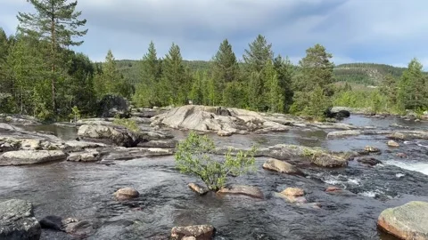 River runs over rocks in a forest Stock Footage 288011838