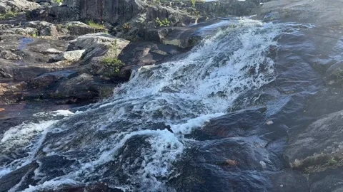 River runs over rocks in a forest Stock Footage 288011848