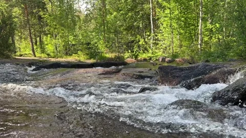 River runs over rocks in a forest Stock Footage 288011853