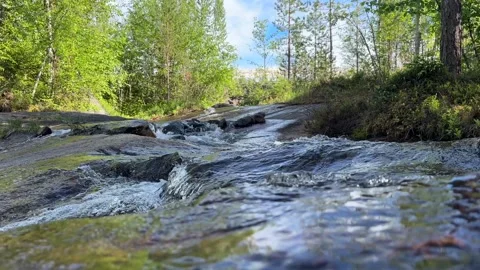 River runs over rocks in a forest Stock Footage 288011855