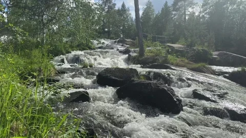 River runs over rocks in a forest Stock Footage 288011858