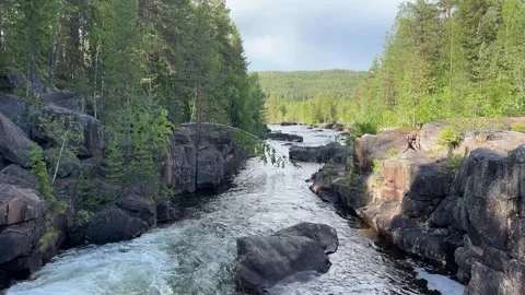 River runs over rocks in a forest Stock Footage 288011866