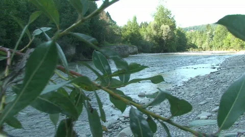 A river runs through 2 Stock Footage 807896
