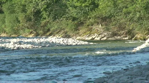 A river runs through 6 Stock Footage 808010
