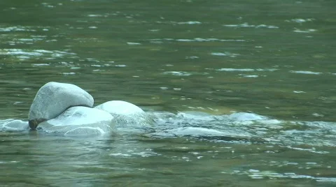 A river runs through 8 Stock Footage 808032