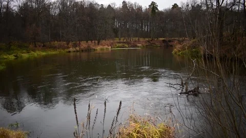 The river runs through the autumn forest in the early morning Stock Footage 143799278