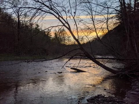 A river runs through a bare forest during the spring at sunset. Stock Photos