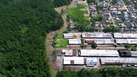 A river runs through a forest and a town. Aerial Kuala Sepetang fishing villa 스톡 동영상 317259571