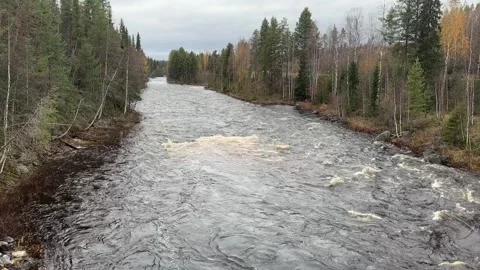 River runs through a forest 库存影片 288011860