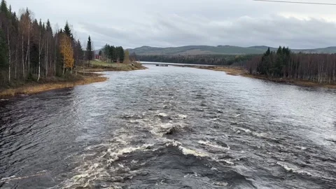 River runs through a forest Stock Footage 288011861