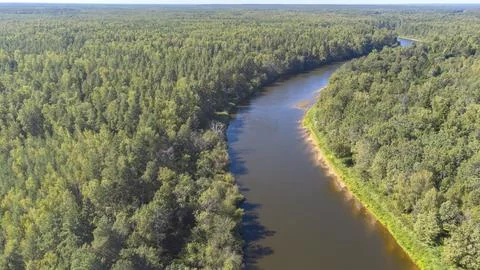 A river runs through a forest with trees on both sides Stock Photos