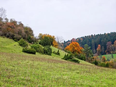 A river runs through a forest with trees on both sides Stock Photos
