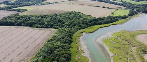 A river runs through a forested area Stock Footage 298270168