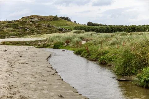 A river runs through a grassy field next to a beach in Scandinavia Stock Photos