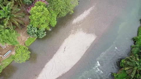 A river runs through a lush green forest. Stock Footage 319386969