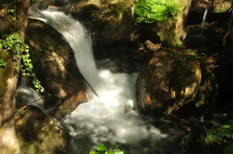 River that runs through a mountain forest Stock Photos