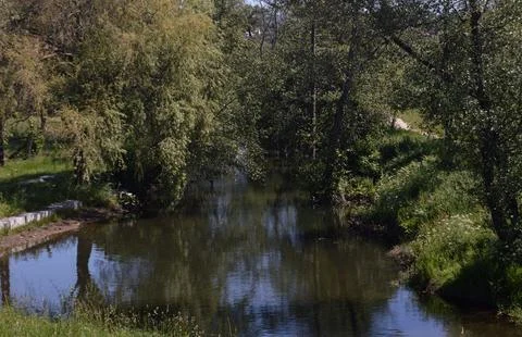 River that runs through a small forest Stock Photos