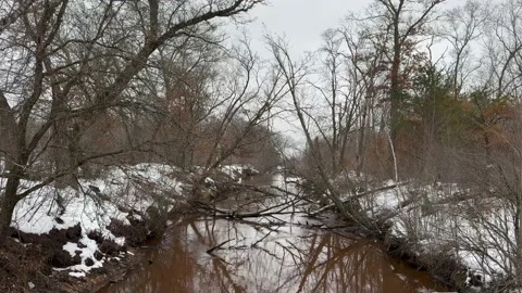 River runs through the woods Video stock 230029482