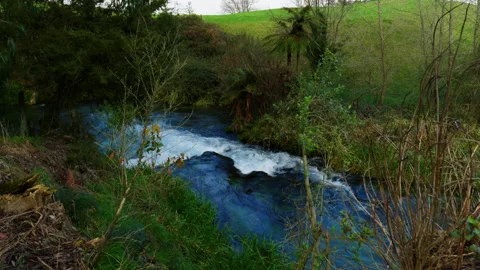 River Rush: Wide Shot of Pristine Rapids Stock Footage 250493694