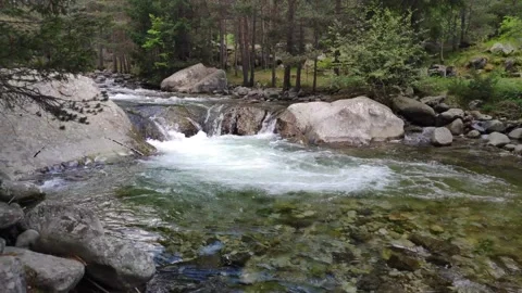 River rushig through the forest 4k Stock Footage 131829609