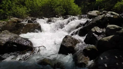 River rushig through the forest 4k Stock Footage 131829623