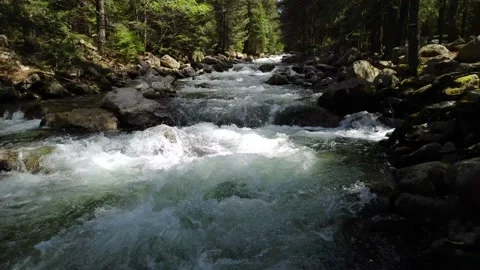 River rushig through the forest 4k Stock Footage 131829633