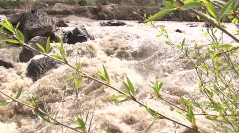 River rushing after a hard rain. 動画素材 42191690