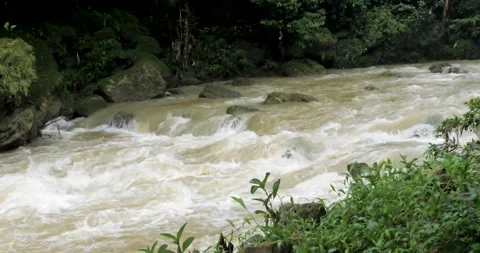 River rushing current. Vídeo Stock 199361878