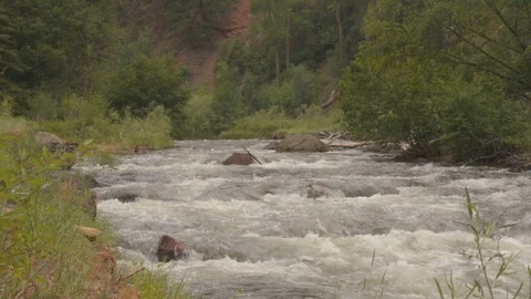 River rushing down, mountain valley, lush green bank. Stock Footage 95165788