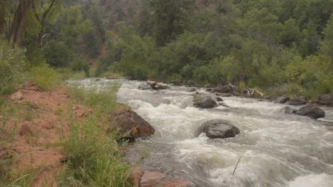 River rushing down, mountain valley, lush green bank. Stock Footage 95166563
