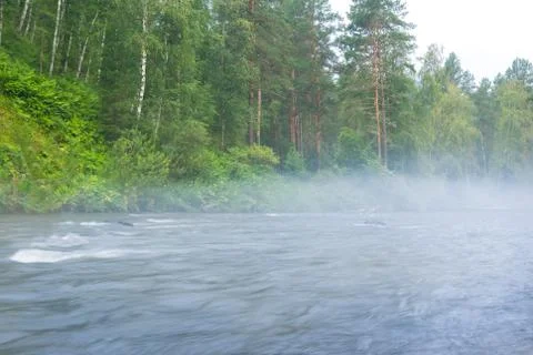 River rushing through a forest in a mist Stock Photos