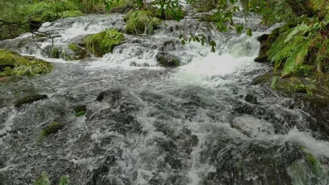 River Rushing Through Forest Mountain In Tropical Nature. Slow Motion Stock Footage 257552254