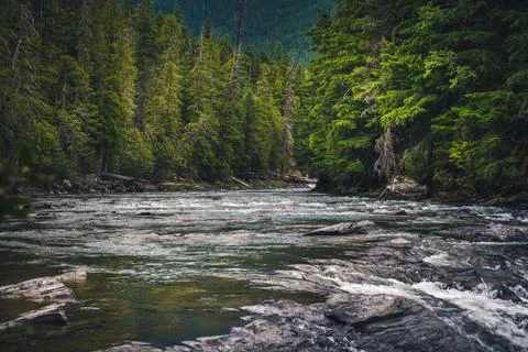 River rushing through a forest. Foto stock